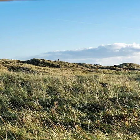 4422-hvide-sande-mettes-bjerg-22 Nyaraló