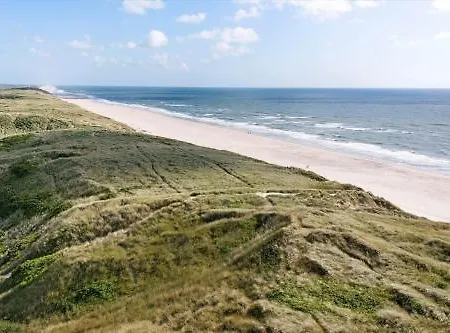 4422-hvide-sande-mettes-bjerg-22